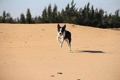 SE《PARANORMASIGHT：本所七不思议》发售